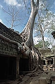 Ta Prohm temple - ruins of the central sanctuary 